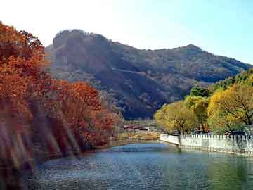 龙虎和平台注册